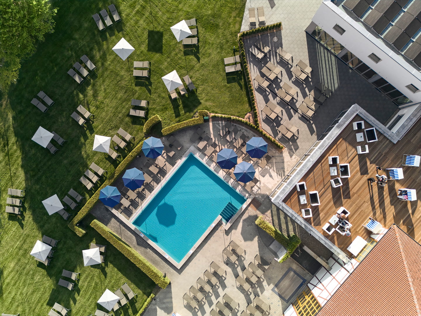 RCFS_Drone_15823_WOL__1_.jpg 